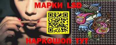 шишки Камышлов