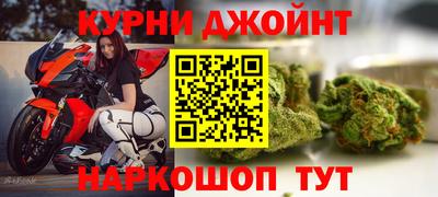 шишки Камышлов