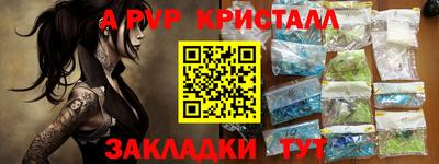шишки Камышлов