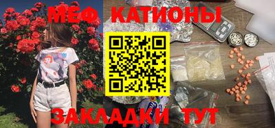 шишки Камышлов