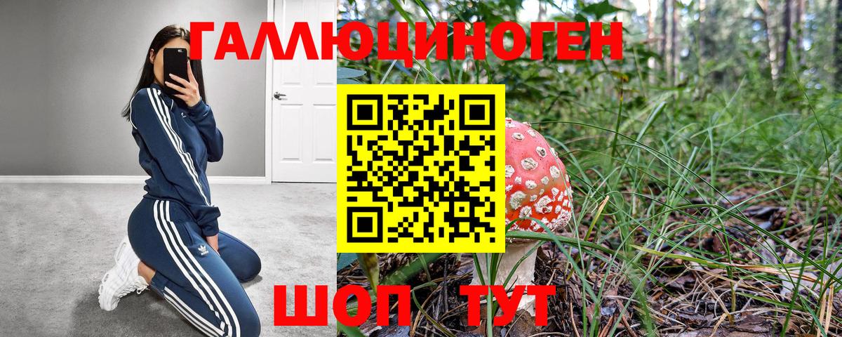Благовещенск  Псилоцибиновые грибы Cubensis  Вход с VPN 